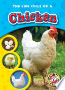 The Life Cycle of a Chicken cover