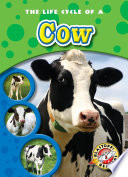 The Life Cycle of a Cow cover