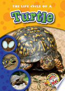 The Life Cycle of a Turtle cover