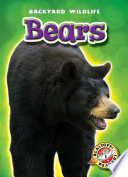 Bears cover