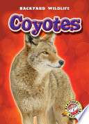 Coyotes cover