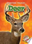 Deer cover