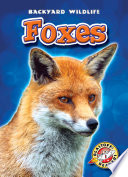 Foxes cover