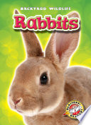 Rabbits cover