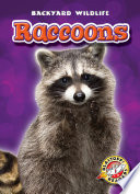 Raccoons cover