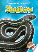 Snakes cover
