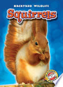 Squirrels cover