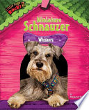 Miniature Schnauzer: Whiskers cover