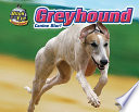 Greyhound: Canine Blur! cover