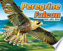 Peregrine Falcon: Dive, Dive, Dive! cover