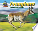Pronghorn: Long-Distance Runner! cover
