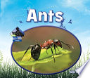 Ants cover