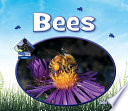 Bees (Insects) cover