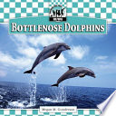 Bottlenose Dolphins cover