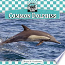Common Dolphins cover