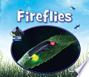 Fireflies cover