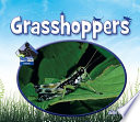 Grasshoppers (Insects) cover