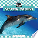 Spotted Dolphins cover