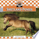 Shetland Ponies cover