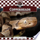 Copperheads cover