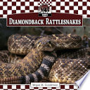 Diamondback Rattlesnakes cover