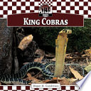 King Cobras cover