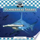 Hammerhead Sharks cover