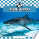 Tiger Sharks cover