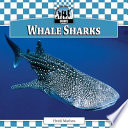 Whale Sharks cover