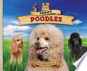 Perky Poodles cover