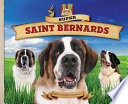 Super Saint Bernards cover