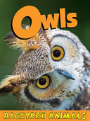 Owls cover