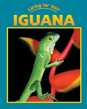 Iguana cover