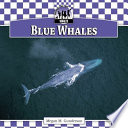 Blue Whales cover