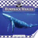Humpback Whales cover