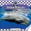 Sperm Whales cover
