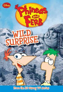 Wild Surprise cover