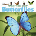 Butterflies cover