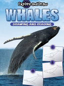 Whales: Drawing and Reading cover