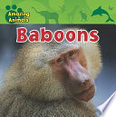 Baboons cover
