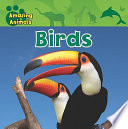Birds cover