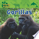 Gorillas cover