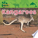 Kangaroos cover