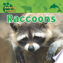 Raccoons cover