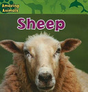 Sheep cover