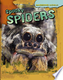 Spooky Spiders cover