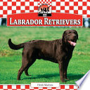 Labrador Retrievers cover