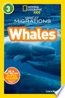 Whales cover