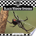 Black Widow Spiders cover
