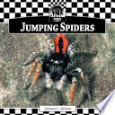 Jumping Spiders cover